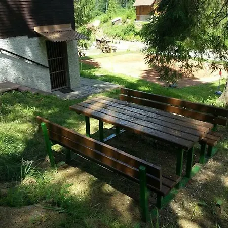 Studienky
