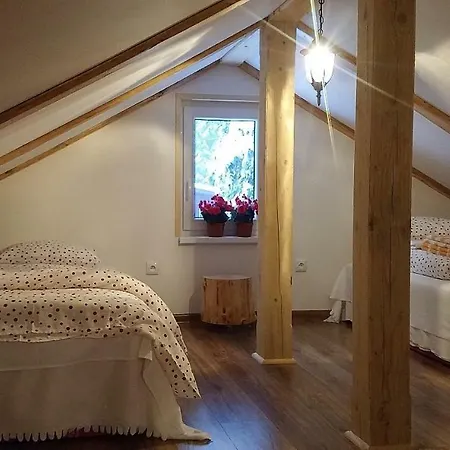 Lodge Studienky